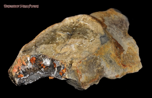 Hexenshop Dark Phönix Septarie Mirabeau Diamant Sisteron 154g Rohstein Halbedelstein